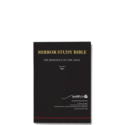 Picture of Mirror Study Bible (10 Edition)