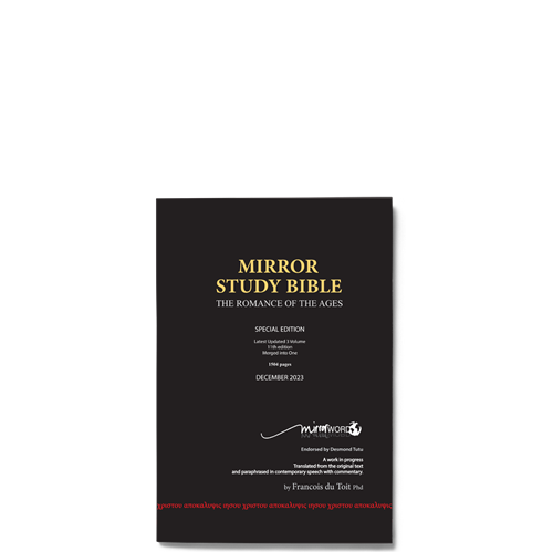 Picture of Mirror Study Bible 11th Edition 