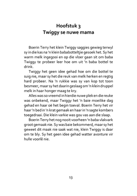 Show details for Vlakvarkie Verhale