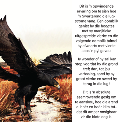 Show details for Die Arend Storie