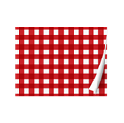 Picture of Gingham Placemat 