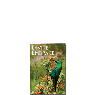 Show details for Divine Embrace