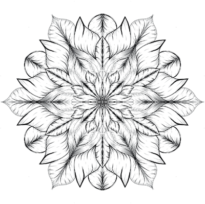 Show details for Bloom where you are planted