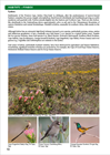 Show details for Roberts Bird Guide (Second Edition)