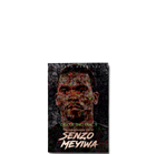 Picture of Decoding 666_9 The Inexplicable life of Senzo Meyiwa
