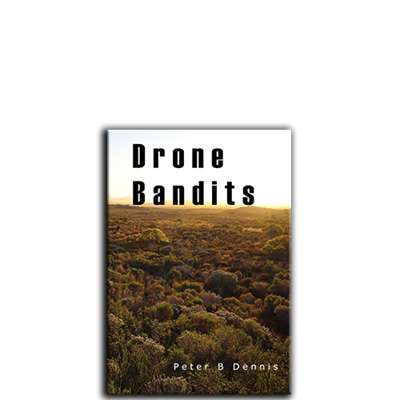 Show details for Drone Bandits
