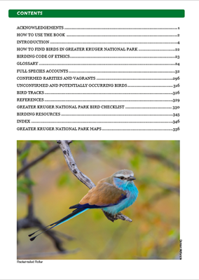 Show details for Roberts Bird Guide Greater Kruger National Park (Second Edition)