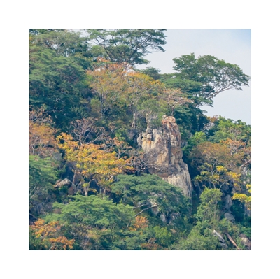 Show details for Zimbabwe's Timeless Beauty . The 2021 Collection