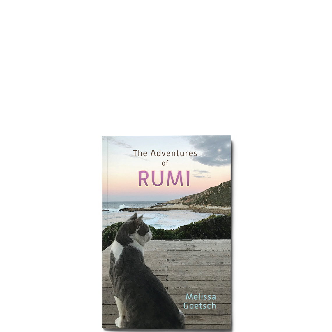 Picture of Rumi
