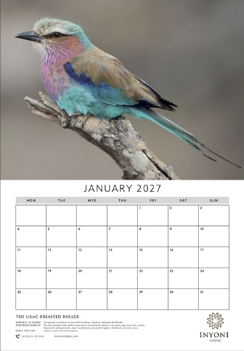 Show details for Calendar Design Services