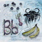 Show details for Juniper's Alphabet Book (Soft Cover Version)