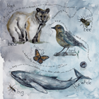 Show details for Juniper's Alphabet Book (Hard Cover Version)