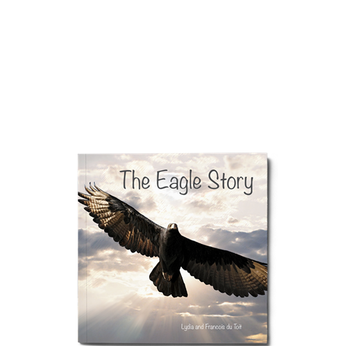 Picture of The Eagle Story
