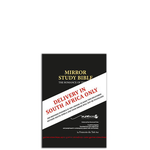 Show details for Mirror Study Bible 11th Edition 