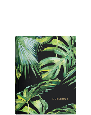 Show details for Monstera magic ready to go