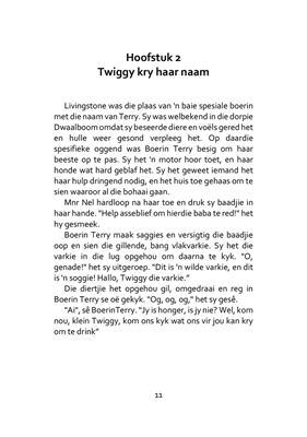 Show details for Vlakvarkie Verhale