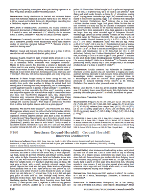 Show details for Roberts Birds of Southern Africa 7th Edition