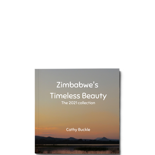 Picture of Zimbabwe's Timeless Beauty . The 2021 Collection