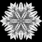 Show details for Bloom where you are planted