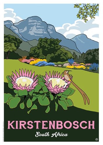 Picture of KIRSTENBOSCH South Africa