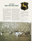 Picture of The Fireside Springbok - The Untold Stories That Make the Boks Great