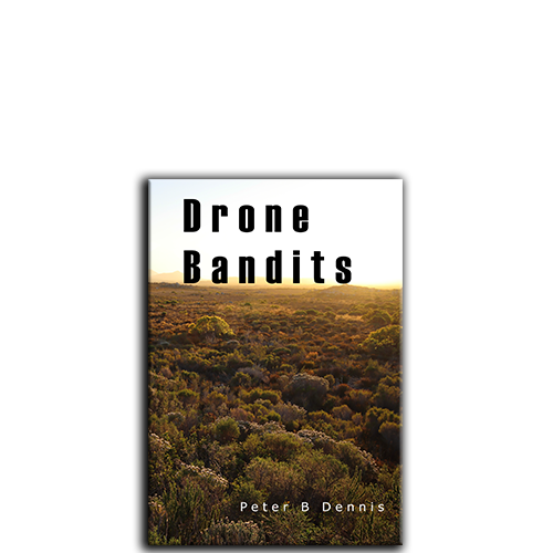 Picture of Drone Bandits