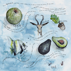 Show details for Juniper's Alphabet Book (Soft Cover Version)