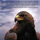 Show details for The Eagle Story - Xhosa