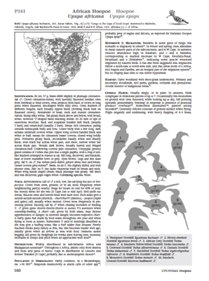 Show details for Roberts Birds of Southern Africa 7th Edition