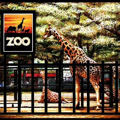 Show details for The Eagle Story